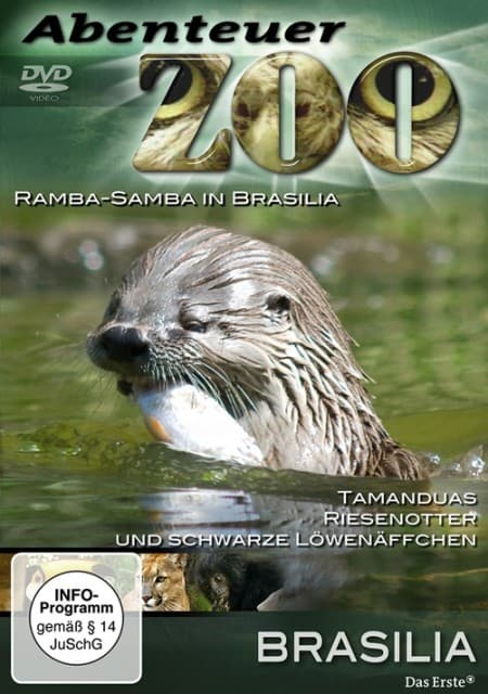 Brasilia, 1 DVD