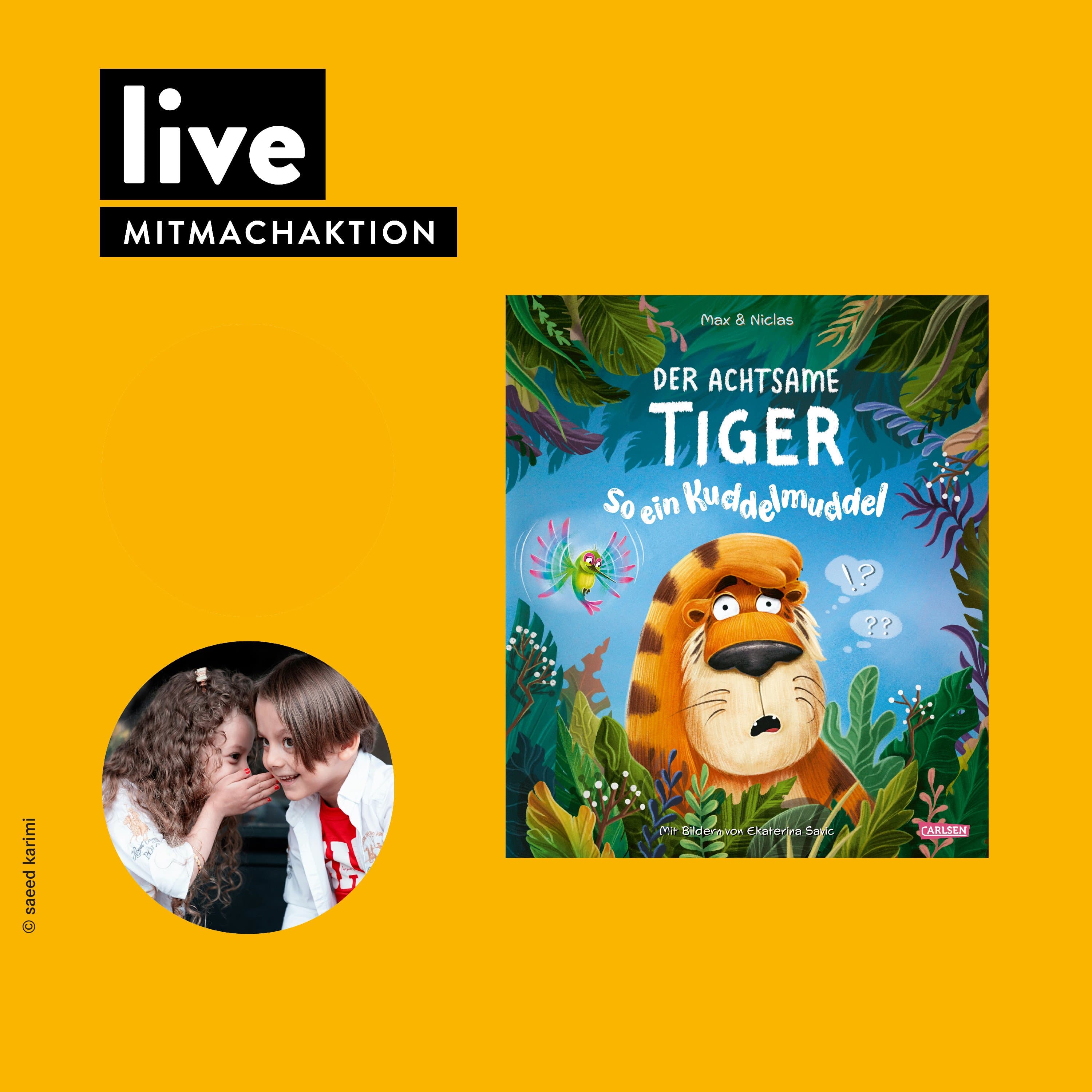 LIVE: Der achtsame Tiger