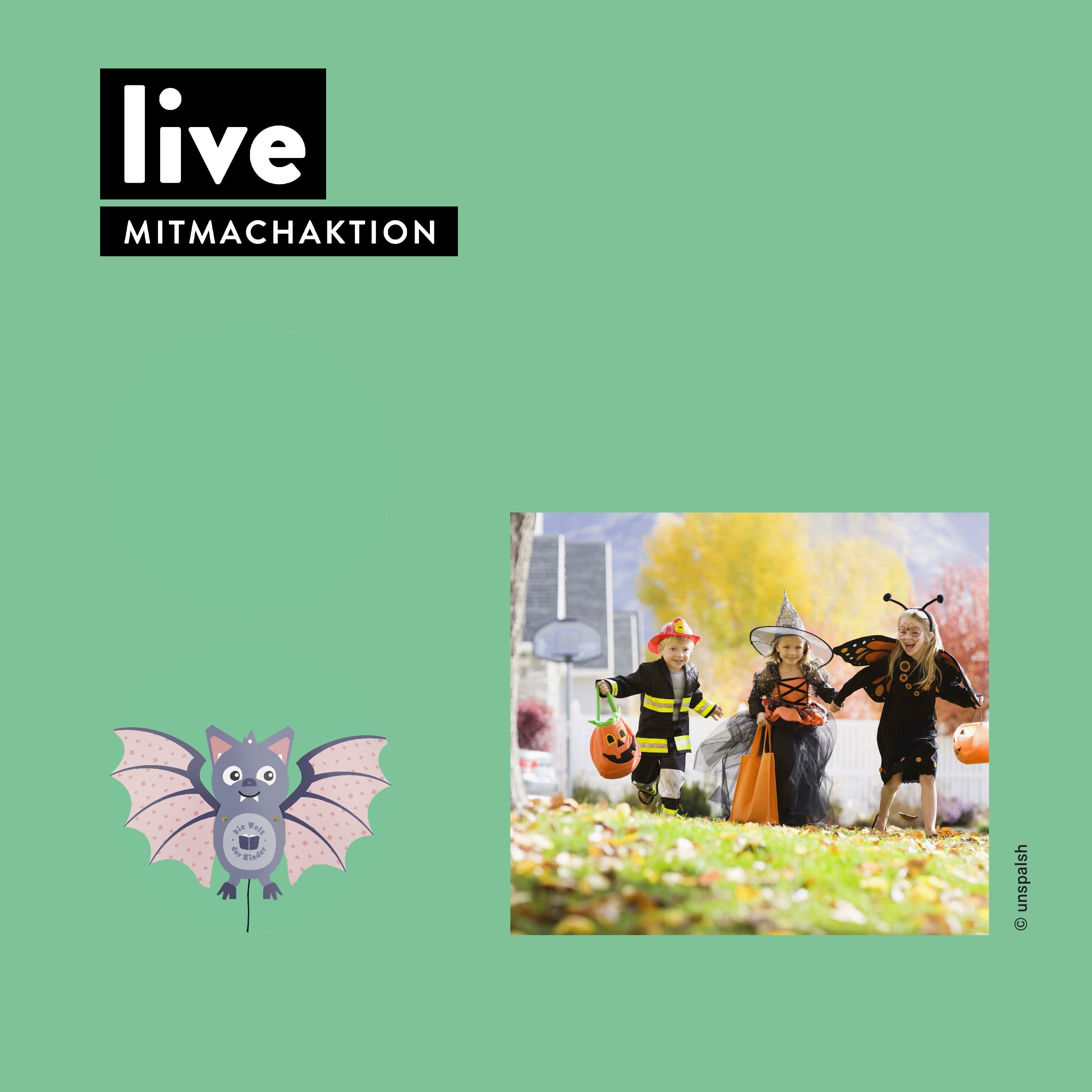 Halloween Basteln LIVE