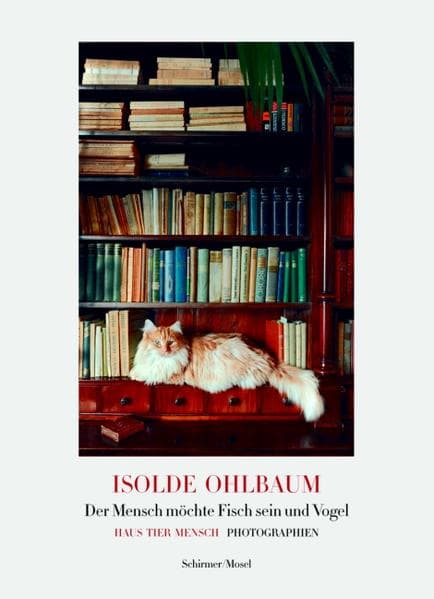 Der Mensch möchte Fisch sein und Vogel