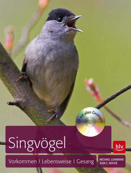 Singvögel