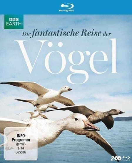Die fantastische Reise der Vögel
