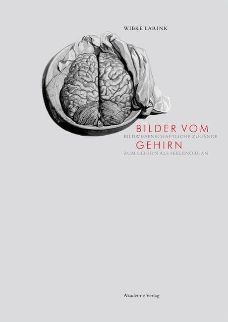 Bilder vom Gehirn