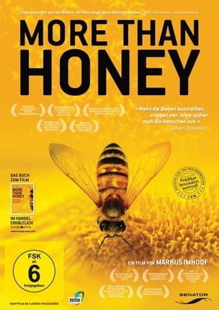 More than Honey