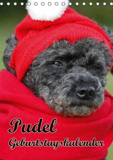 Pudel / Geburtstagskalender (Tischkalender immerwährend DIN A5 hoch)