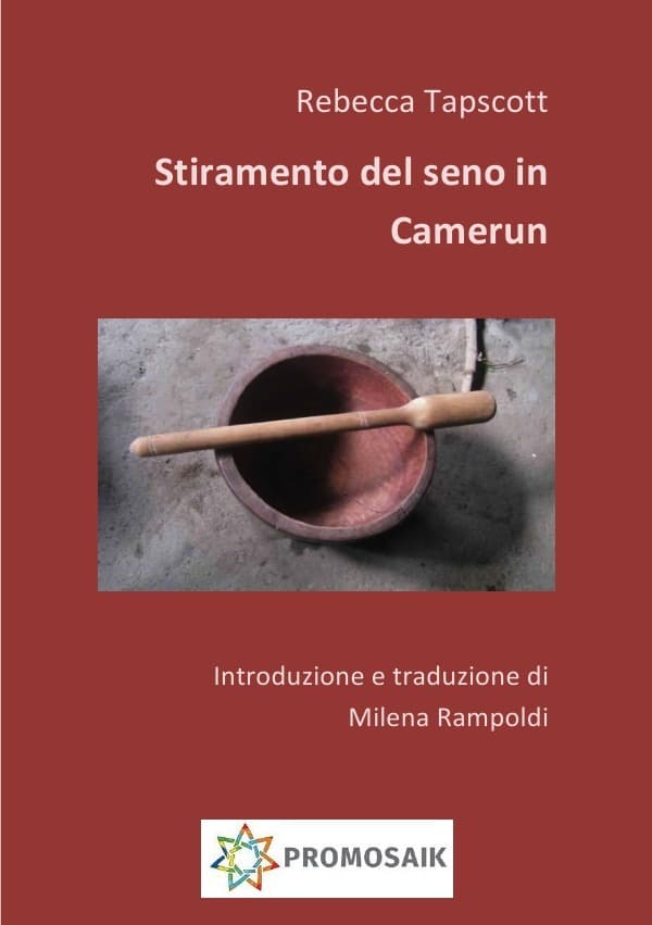 Il mio seno è mio: CAPIRE LO "STIRAMENTO" DEL SENO: UNO STUDIO SUI METODI, LE MOTIVAZIONI E LE CONSEGUENZE DELLE PRATICHE DI APPIATTIMENTO DEL SENO IN CAMERUN