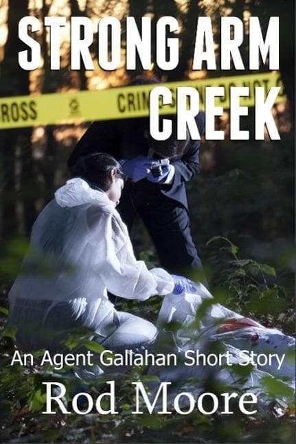 Strong Arm Creek (Agent Gallahan, #1)