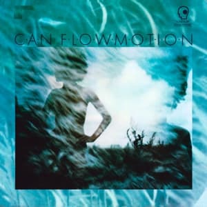 Flow Motion (LP+MP3)