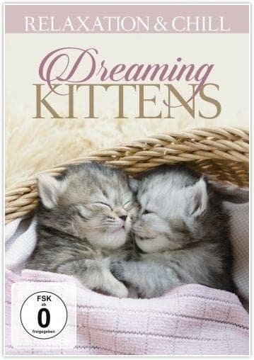 Dreaming Kittens