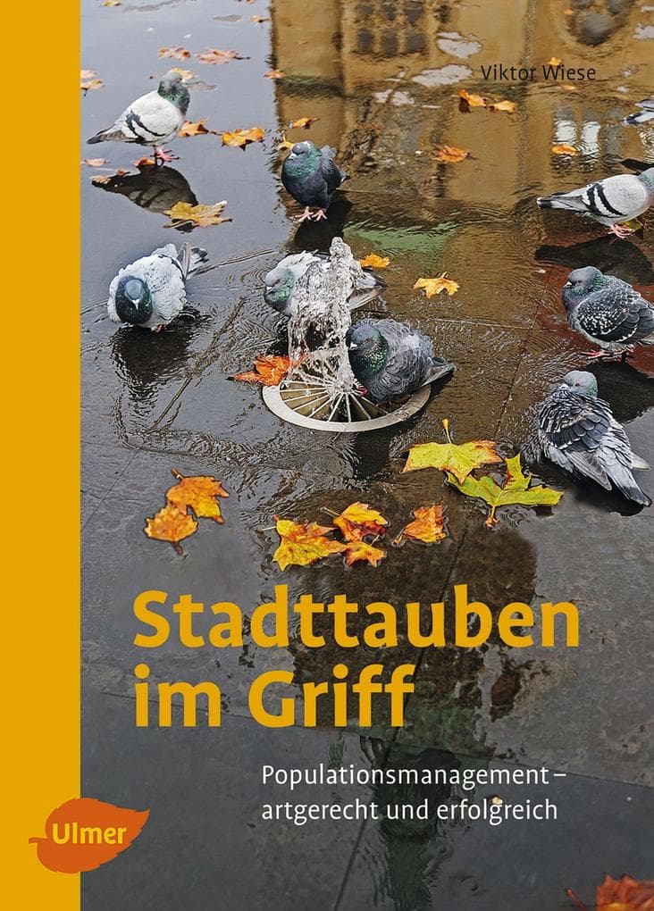Stadttauben im Griff