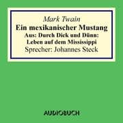 Ein mexikanischer Mustang. Aus: Durch Dick und Dünn: Leben auf dem Mississippi