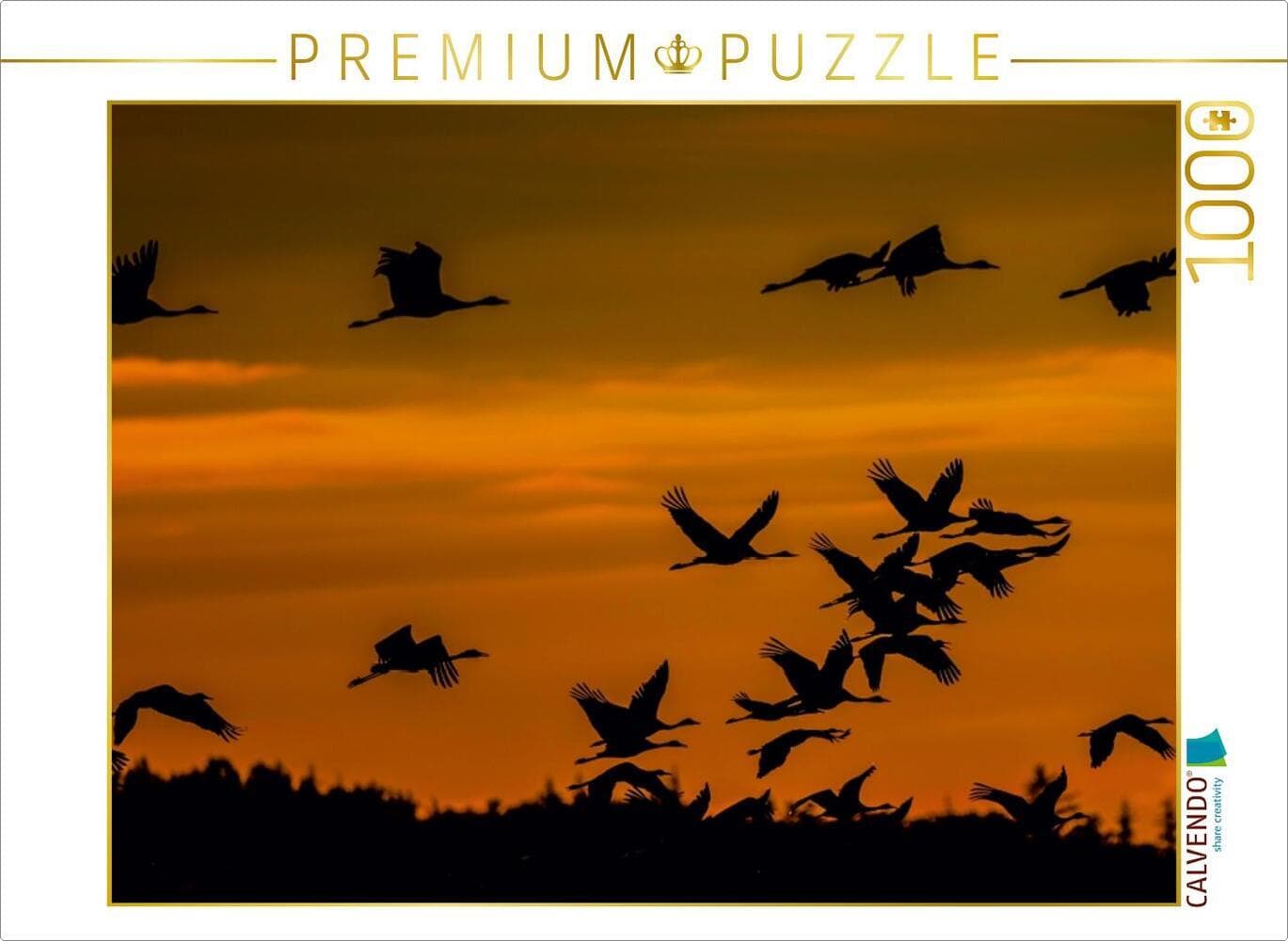 CALVENDO Puzzle Kraniche an der Ostsee | 1000 Teile Lege-Größe 64 × 48 cm Foto-Puzzle für glückliche Stunden