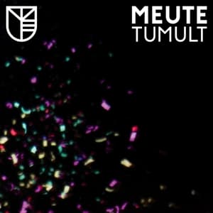 Tumult (2LP)