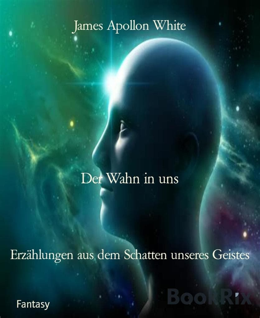 Der Wahn in uns: Erzählungen aus dem Schatten unseres Geistes