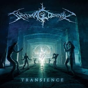 Transience (2LP)