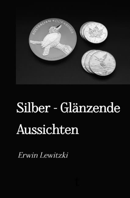 Silber - Glänzende Aussichten: Ein praktischer Leitfaden zur Krisenvorsorge, Geldanlage und Werterhalt mit Silber und Gold.