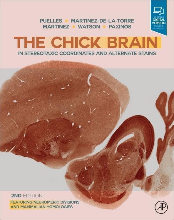 The Chick Brain in Stereotaxic Coordinates and Alternate Stains: Featuring Neuromeric Divisions and Mammalian Homologies