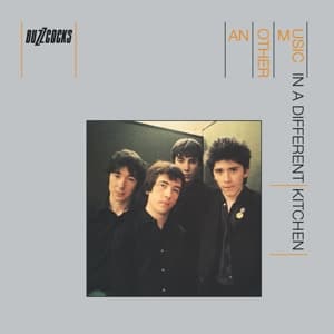 Another Music In A Different Kitchen (LP+MP3)