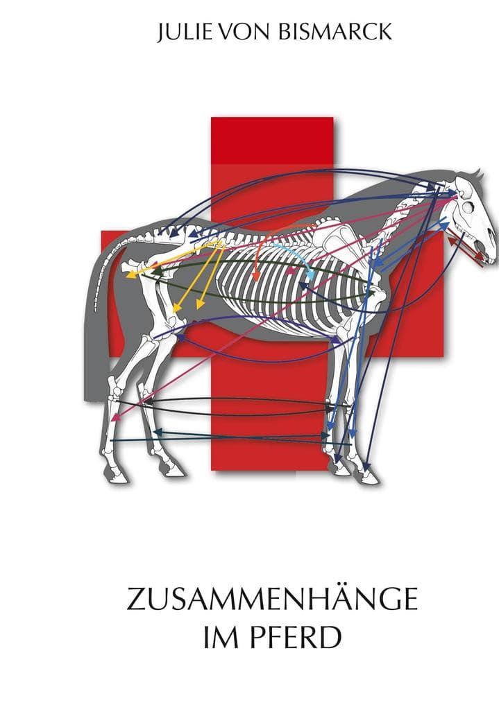 Zusammenhänge im Pferd
