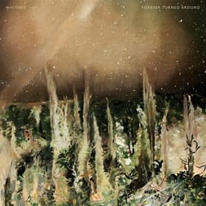 Forever Turned Around (Forest Brown Vinyl)