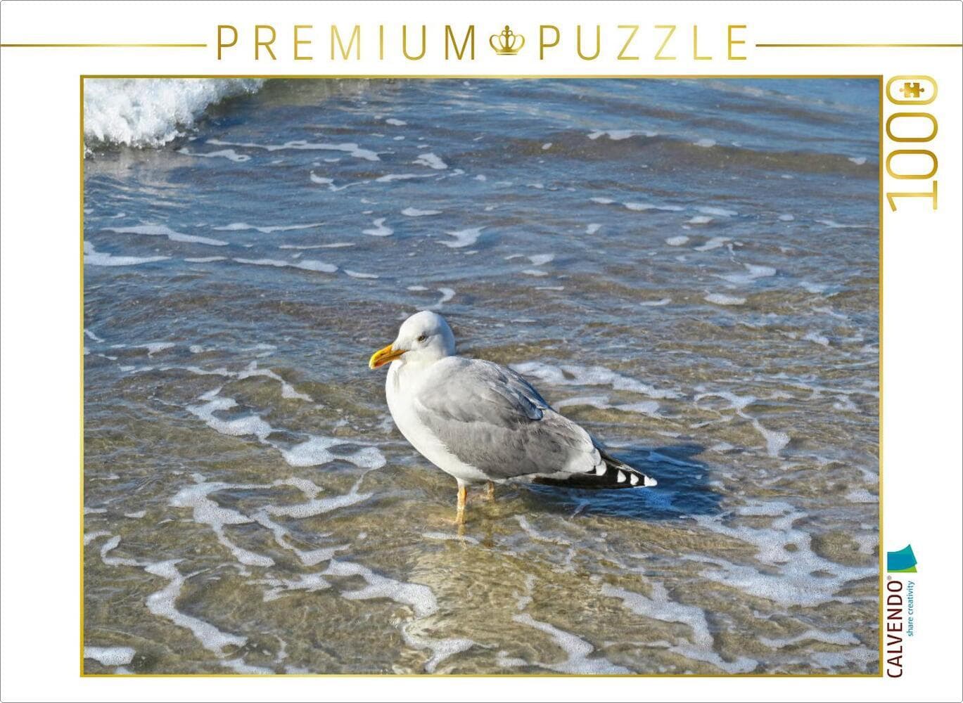 CALVENDO Puzzle Silbermöwe am Strand | 1000 Teile Lege-Größe 64x48cm Foto-Puzzle für glückliche Stunden