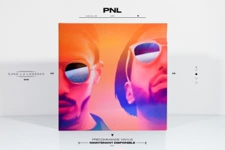 Dans La Lgende (2LP Gatefold)