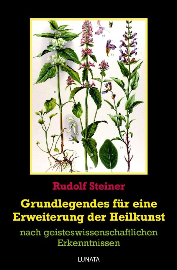 Grundlegendes zur Erweiterung der Heilkunst: nach geisteswissenschaftlichen Erkenntnissen