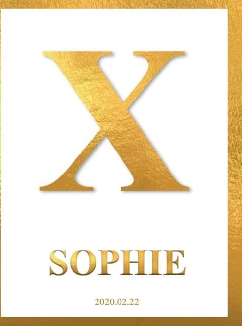 X - Sophie: Wandel - Erkenntnis - Konsequenz