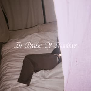 In Praise Of Shadows (Ltd.Ed.) (2LP Col.)