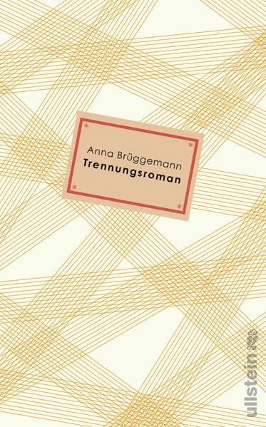 Trennungsroman