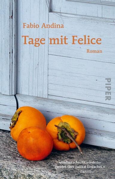 3. Fabio Andina:Tage mit Felice