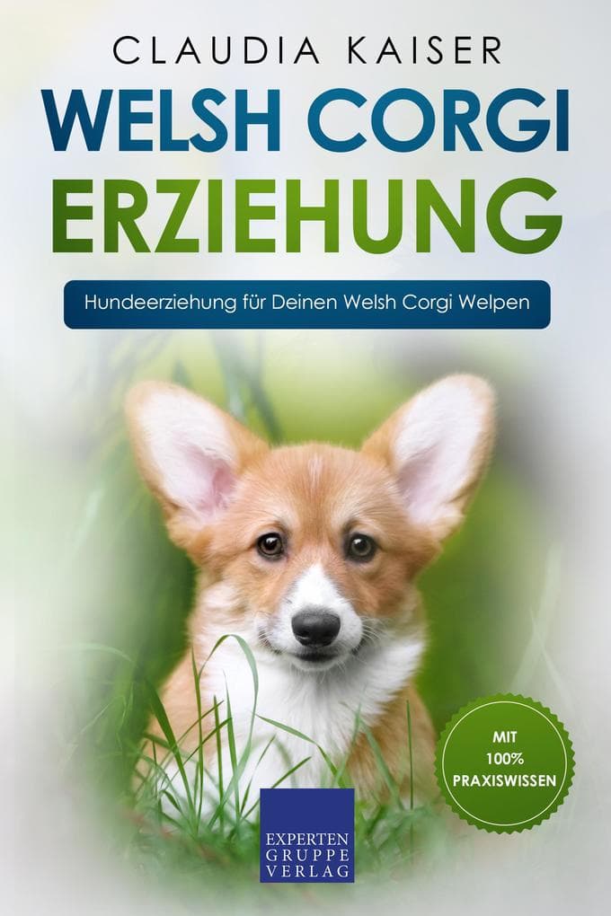 Welsh Corgi Erziehung: Hundeerziehung für Deinen Welsh Corgi Welpen