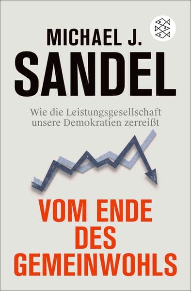 Vom Ende des Gemeinwohls: Wie die Leistungsgesellschaft unsere Demokratien zerreißt