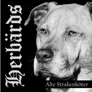 Alte Strassenköter(Ltd.Gtf. Yellow/Black LP)