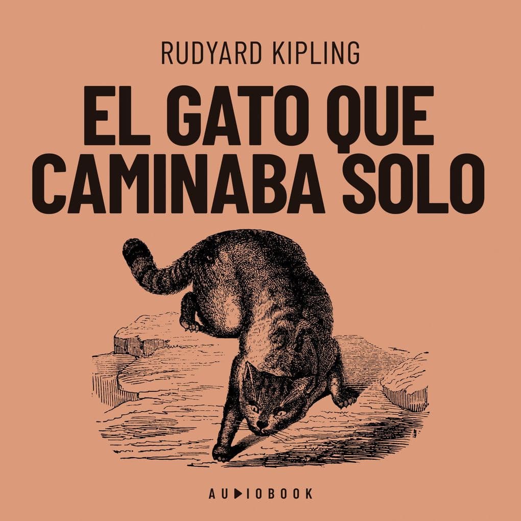 El gato que caminaba solo