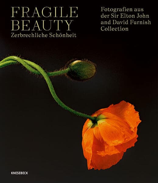 Fragile Beauty - zerbrechliche Schönheit: Fotografien aus der Sir Elton John and David Furnish Collection