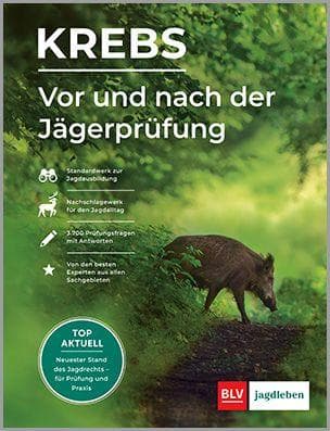 Vor und nach der Jägerprüfung
