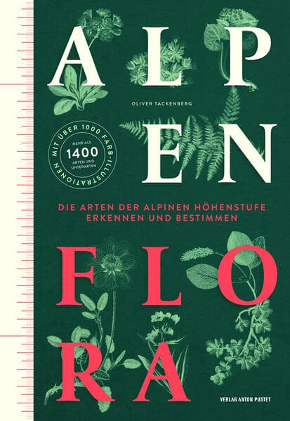 Alpenflora