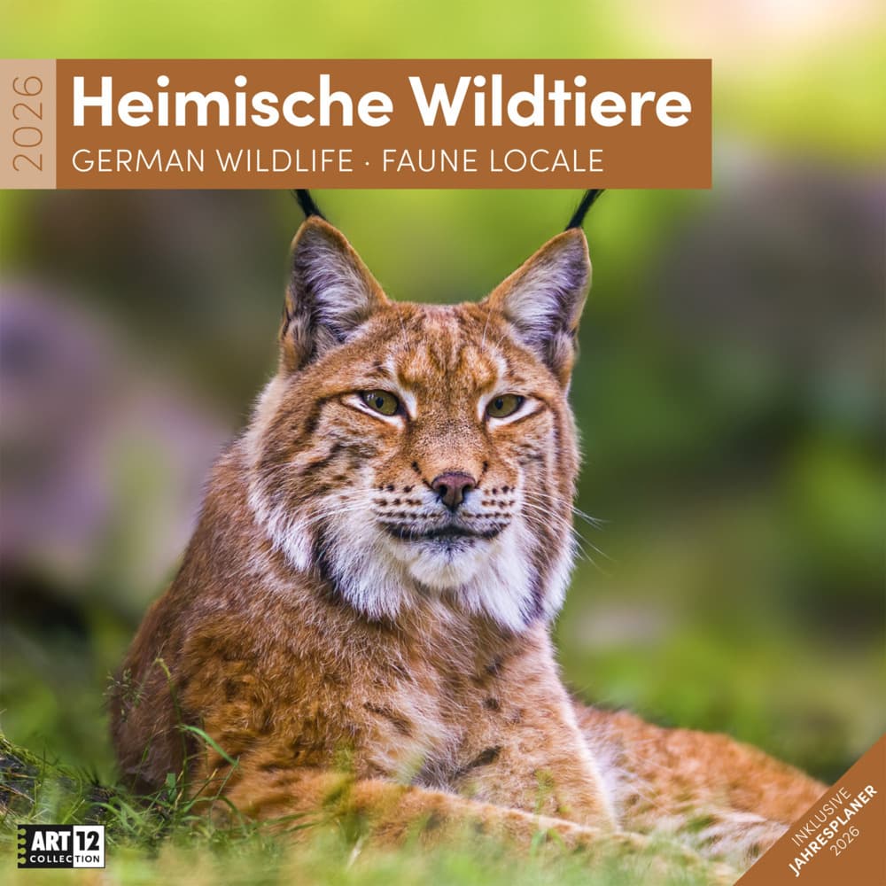 Heimische Wildtiere Broschürenkalender 2026 - 30x30 - Art12
