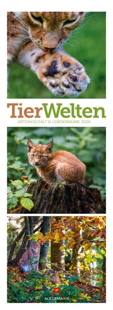 Tierwelten Triplet-Kalender 2026 | Artenvielfalt & Lebensräume