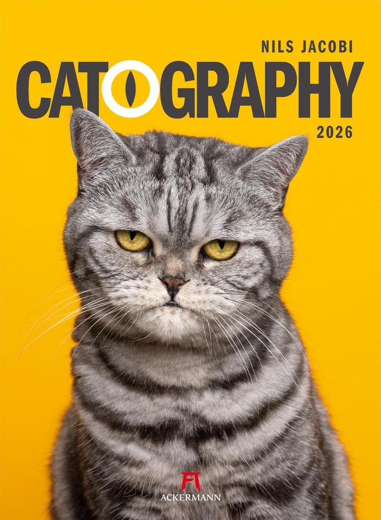 Catography Katzen-Kalender 2026