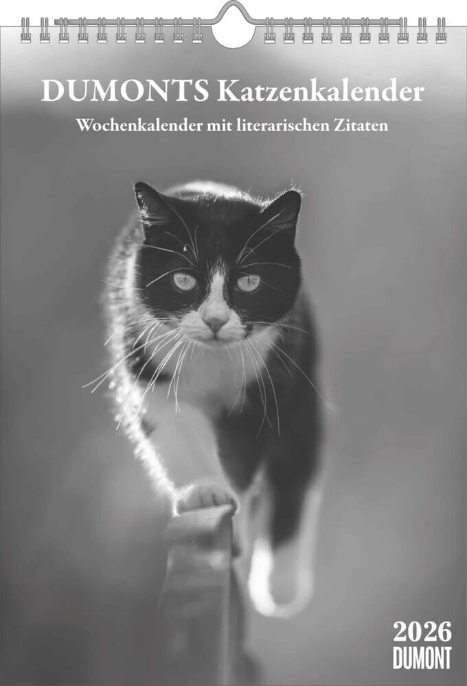 DUMONTS - Katzenkalender 2026 - Wochenkalender mit literarischen Zitaten im Format 21 x 29,7 cm, mit