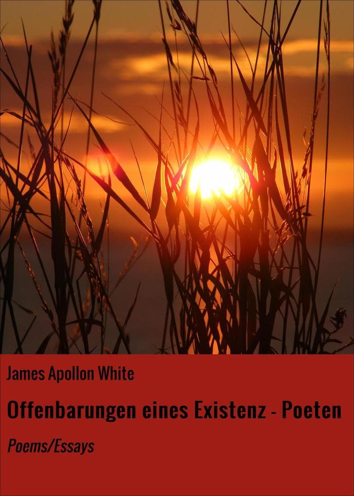 Offenbarungen eines Existenz - Poeten: Poems/Essays