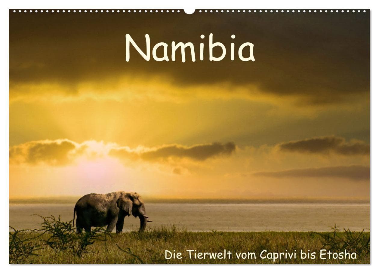 Namibia - Die Tierwelt vom Caprivi bis Etosha (Wandkalender 2026 DIN A2 quer), CALVENDO Monatskalender
