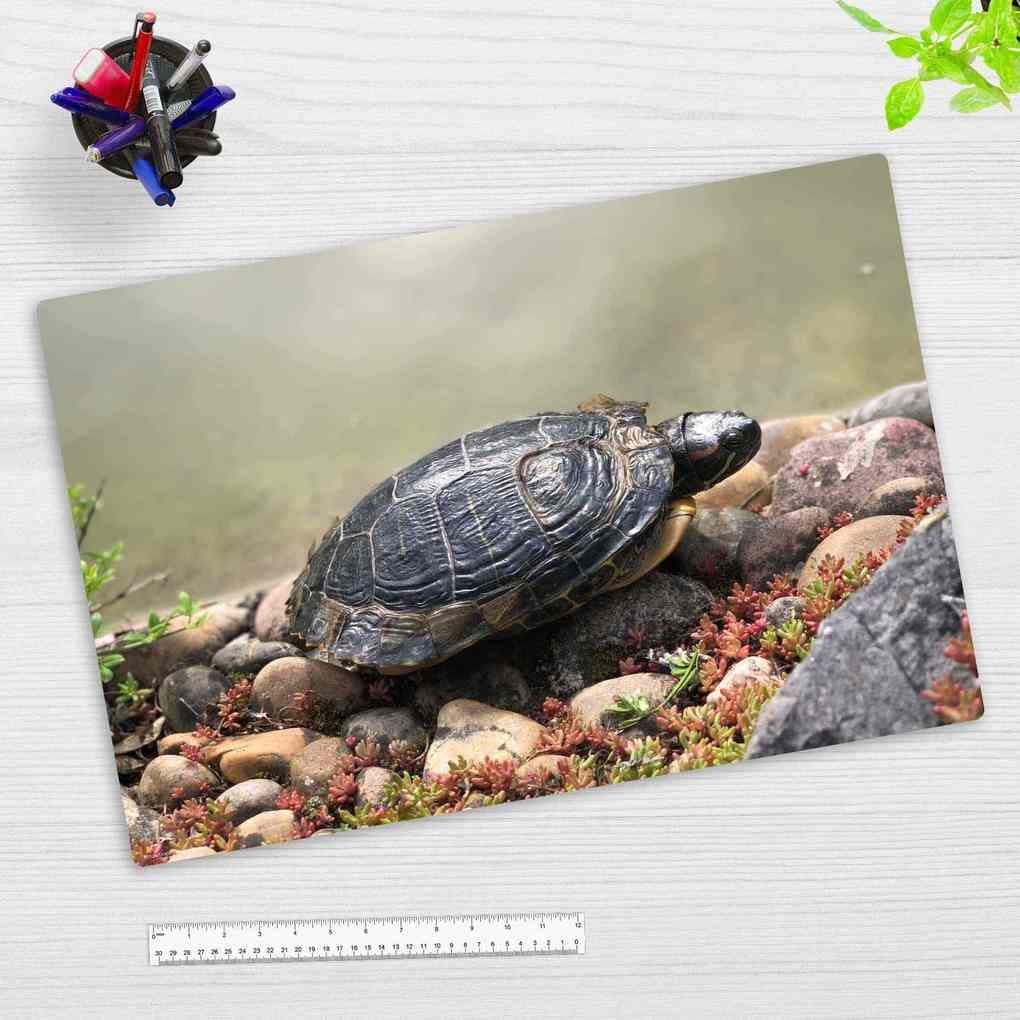 Cover-your-desk Schreibtischunterlage für Kinder und Erwachsene Schildkröte am Wasser, aus hochwertigem Vinyl, 60 x 40 cm