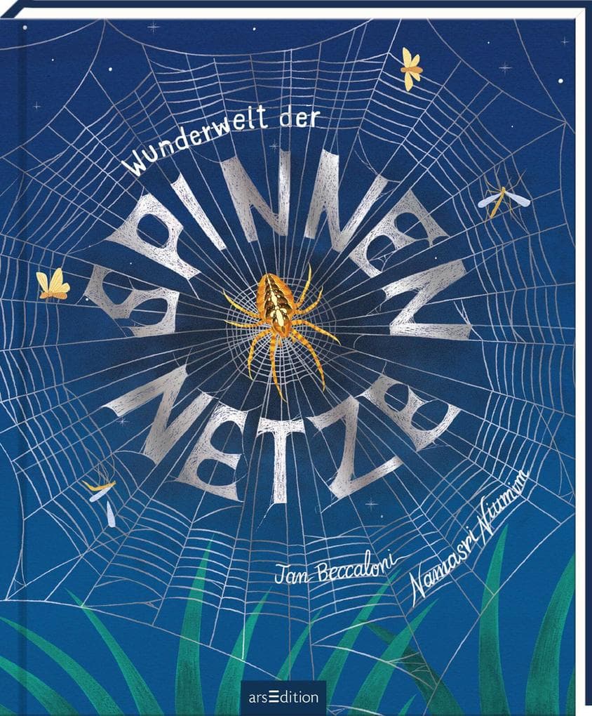 Wunderwelt der Spinnennetze