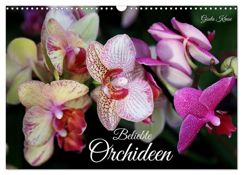 Beliebte Orchideen (Wandkalender 2026 DIN A3 quer), CALVENDO Monatskalender