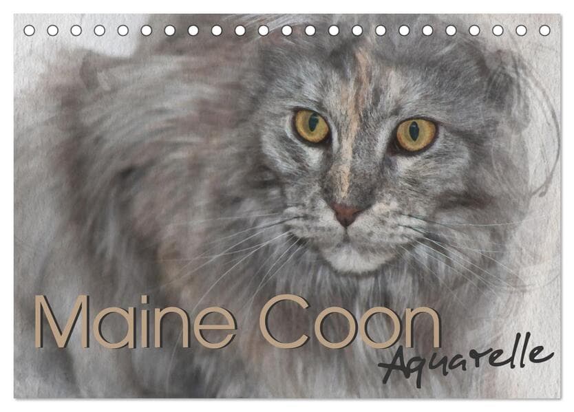 Maine Coon Aquarelle (Tischkalender 2026 DIN A5 quer), CALVENDO Monatskalender