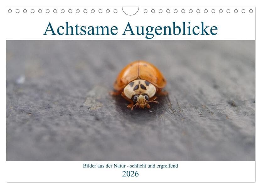 Achtsame Augenblicke (Wandkalender 2026 DIN A4 quer), CALVENDO Monatskalender