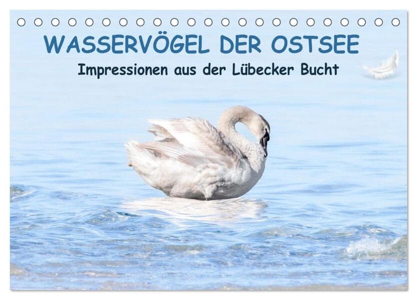 Wasservögel der Ostsee - Impressionen aus der Lübecker Bucht (Tischkalender 2026 DIN A5 quer), CALVENDO Monatskalender